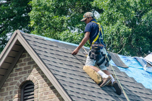 Best Roof Restoration Services  in Odessa, MO